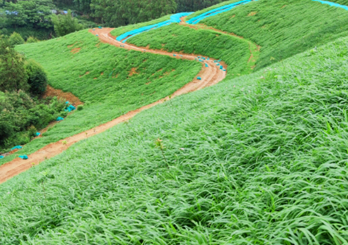 南嶺國家公園環(huán)丹霞山片區(qū)生態(tài)環(huán)境系統(tǒng)保護(hù)修復(fù)工程（湞江區(qū)煤矸石礦區(qū)遺址生態(tài)環(huán)境修復(fù)治理）設(shè)計(jì)、施工總承包