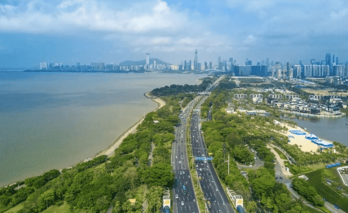深圳濱海大道（海堤、道路）詳勘工程